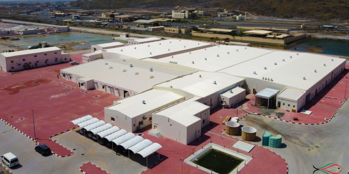 Recirculating Aquaculture System (RAS) project for Fish at Kalba